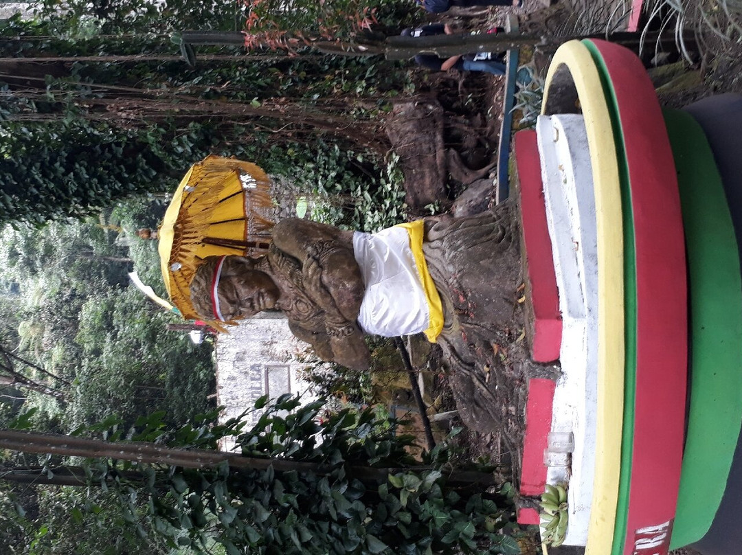 Madakaripura Waterfall-庞越必去景点