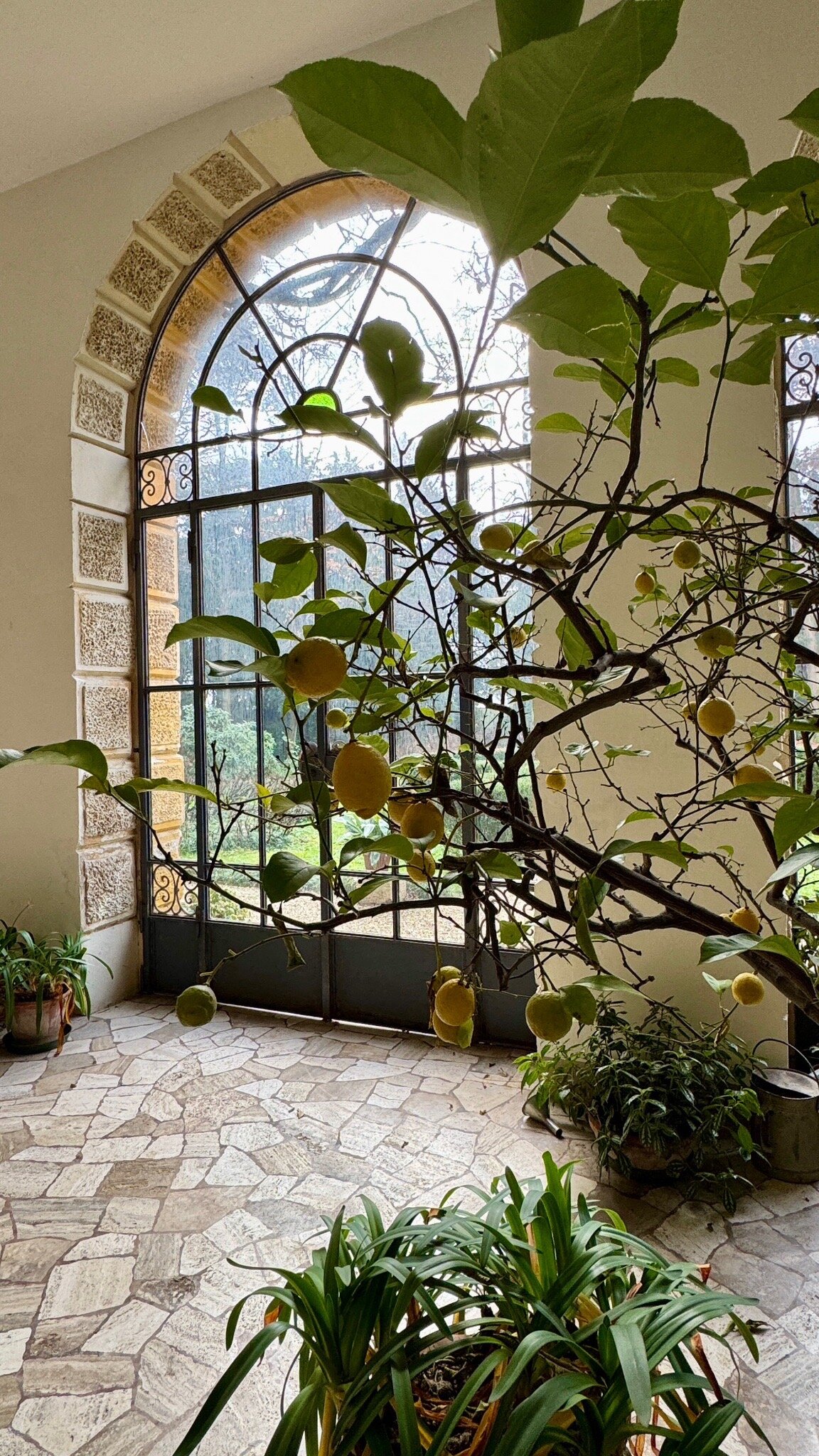 B&B Dal Vicere-官方