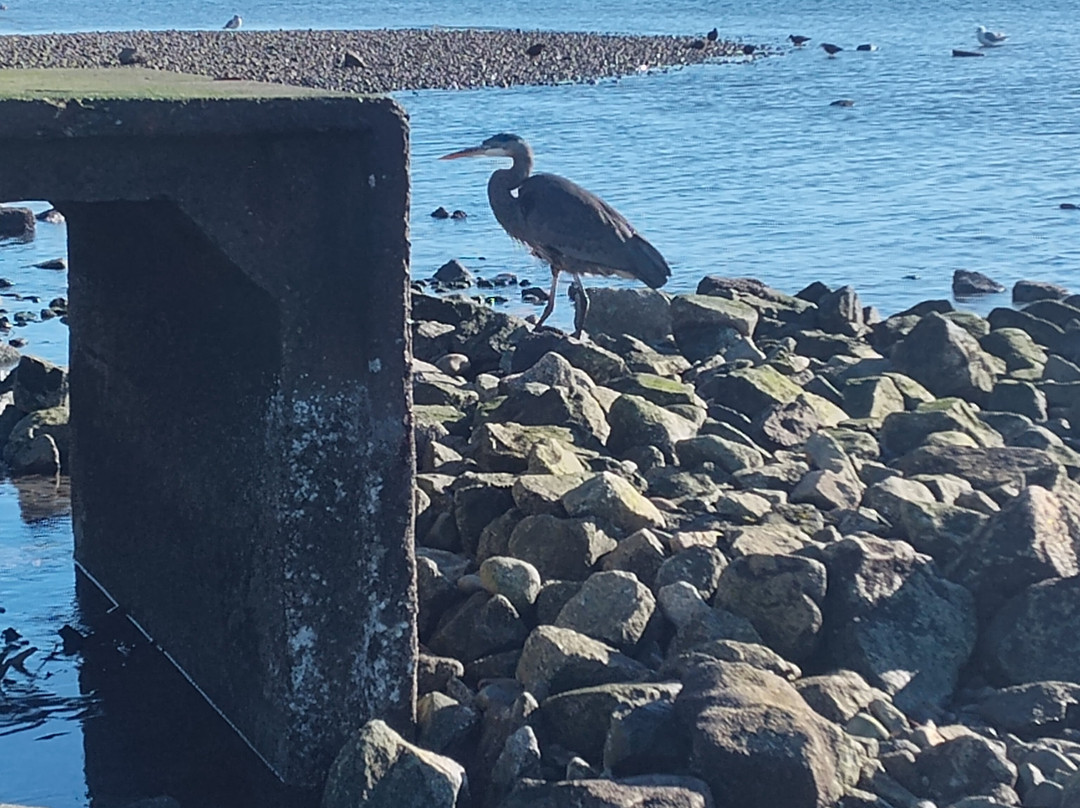 海洋长廊酒店主图