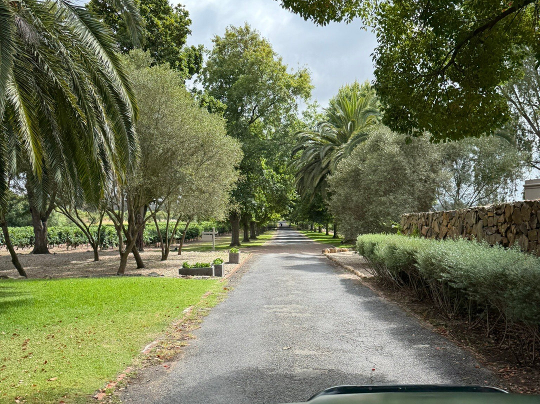 Villiera Wines景点图片