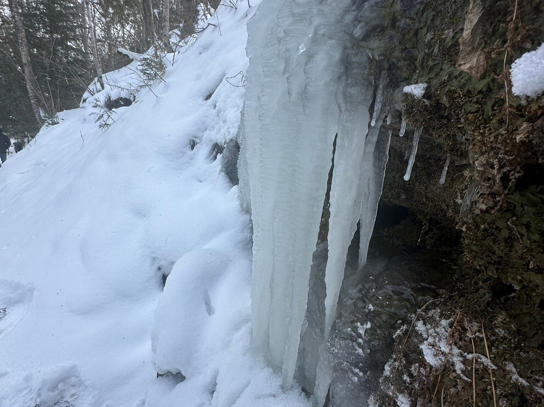 Eben Ice Caves and Canyon Falls & Gorge景点图片
