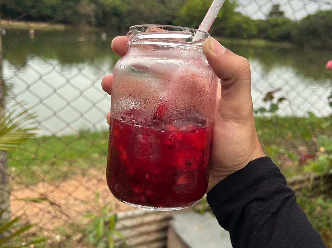 Raizes Gastronômica