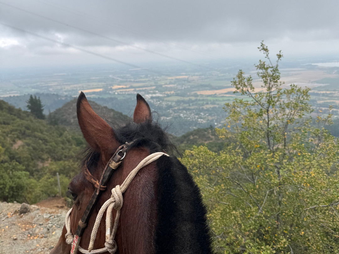 Chile Horse Riding-Panimavida必去景点