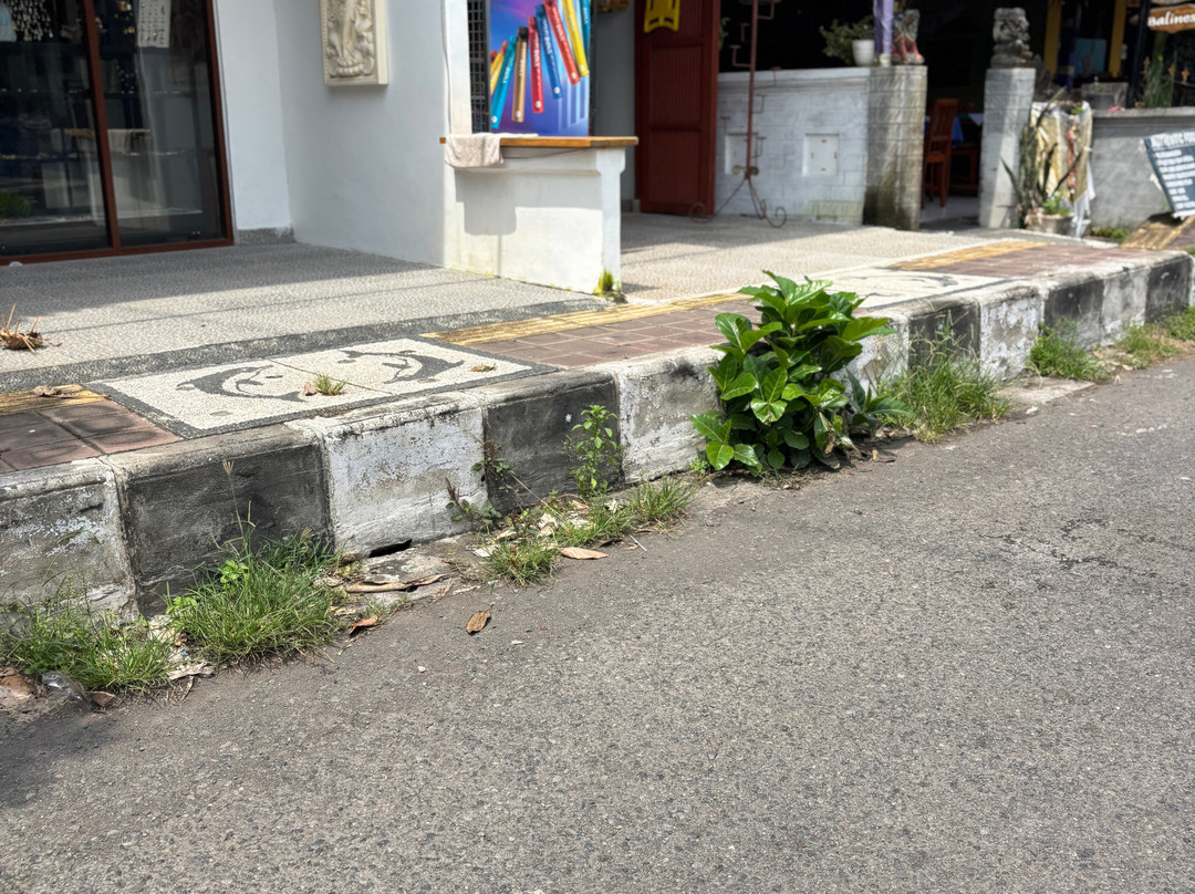 Barclona Guesthouses Lovina主图