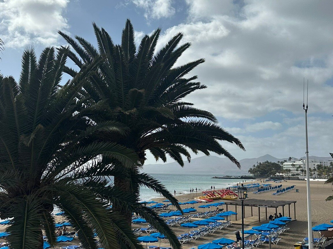 Playa Grande景点图片