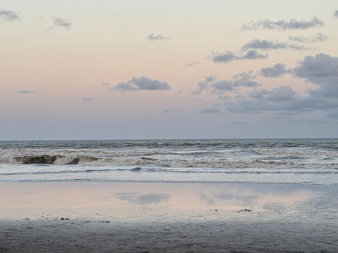 Playa Costa Del Este景点图片