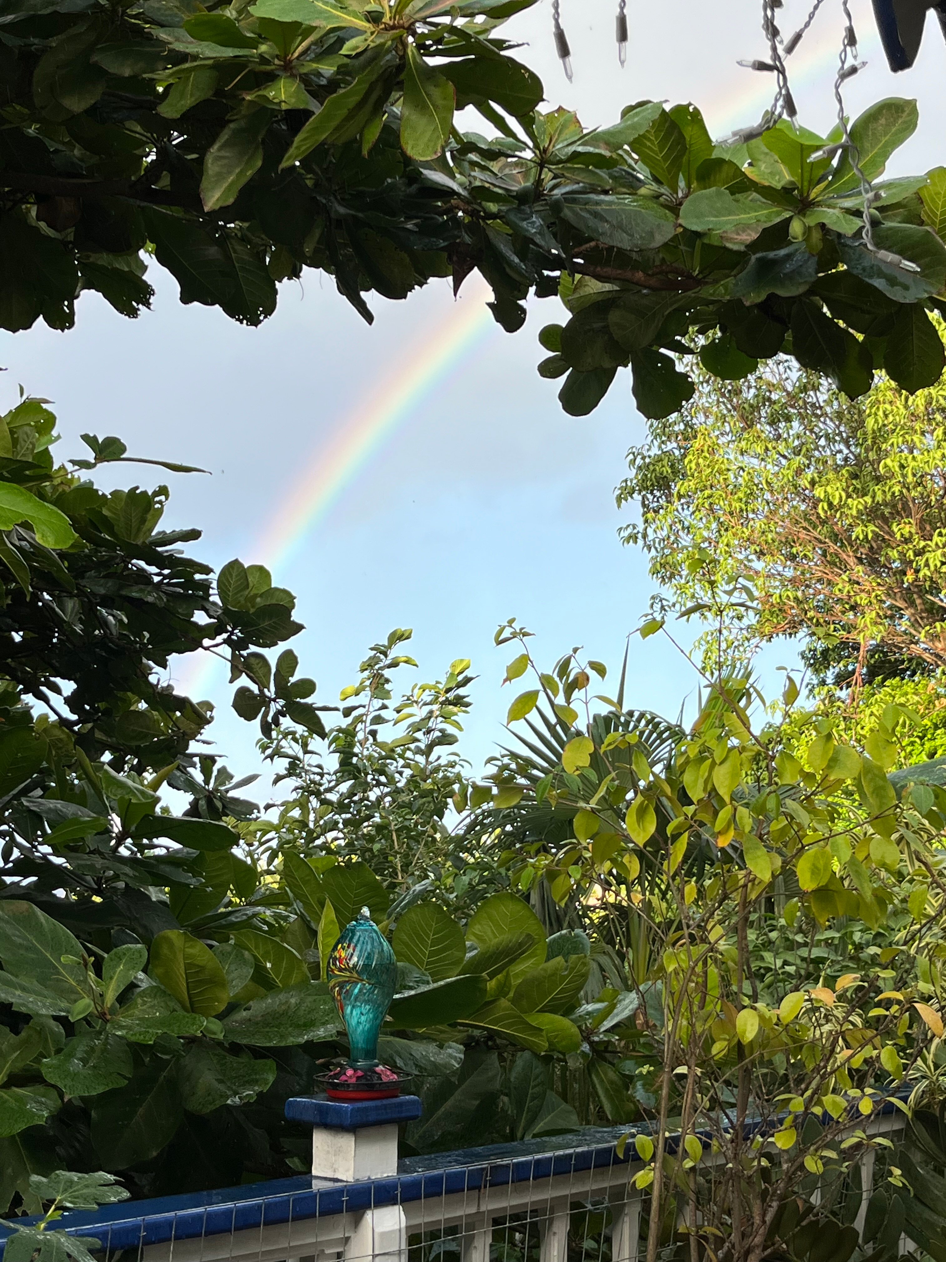 Garden by the Sea B&B-浴室
