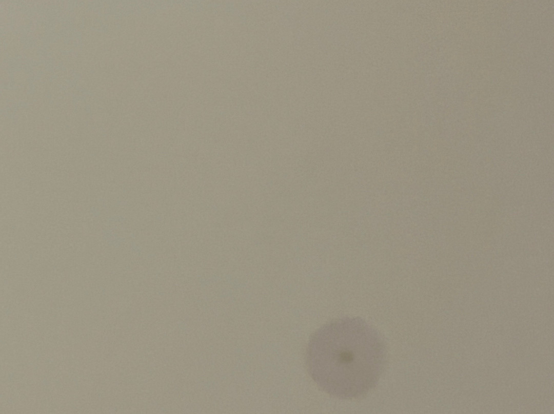 麦克唐纳德豪斯顿别墅酒店主图