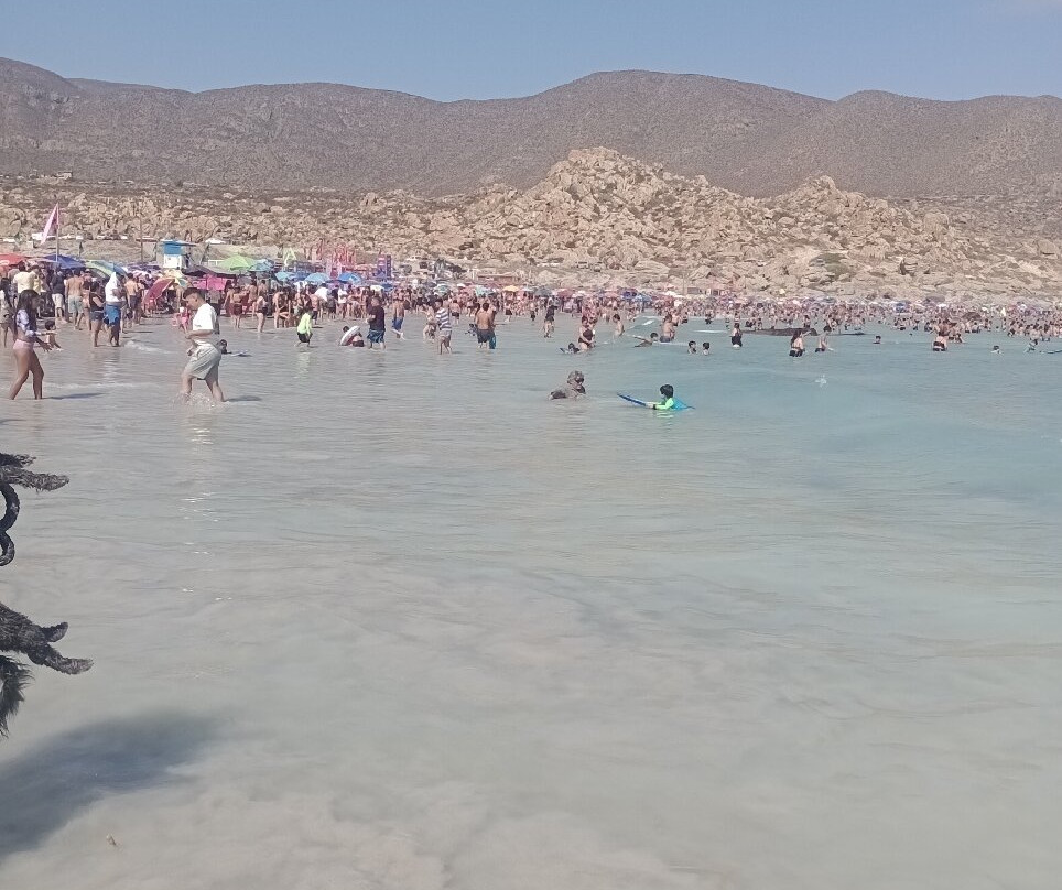 Playa Totoralillo-Coquimbo必去景点