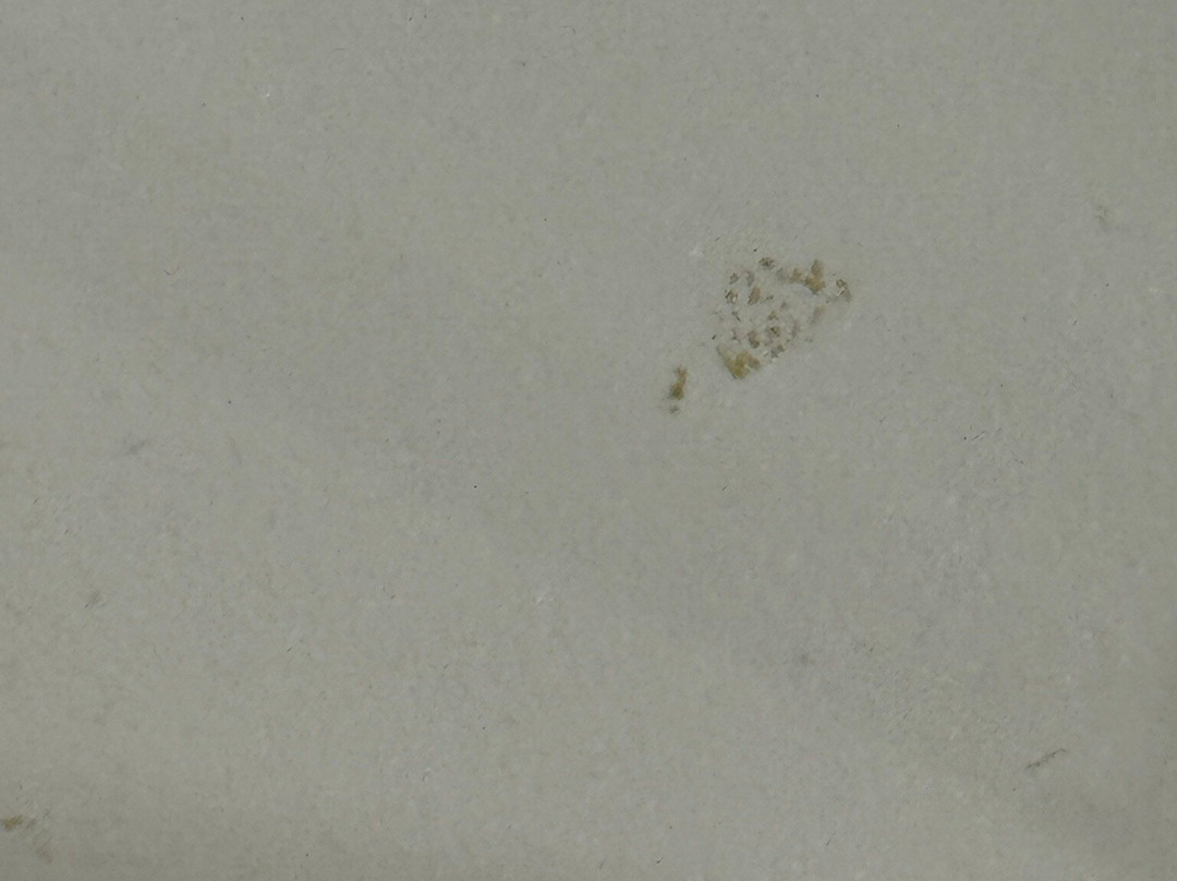 Hilton Garden Inn Tuscaloosa主图