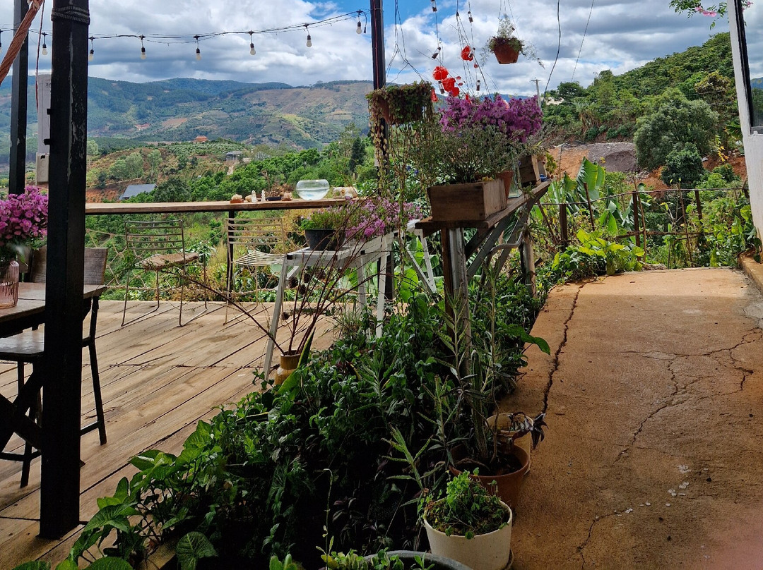 Midori Coffee Farm-Me Linh必去景点