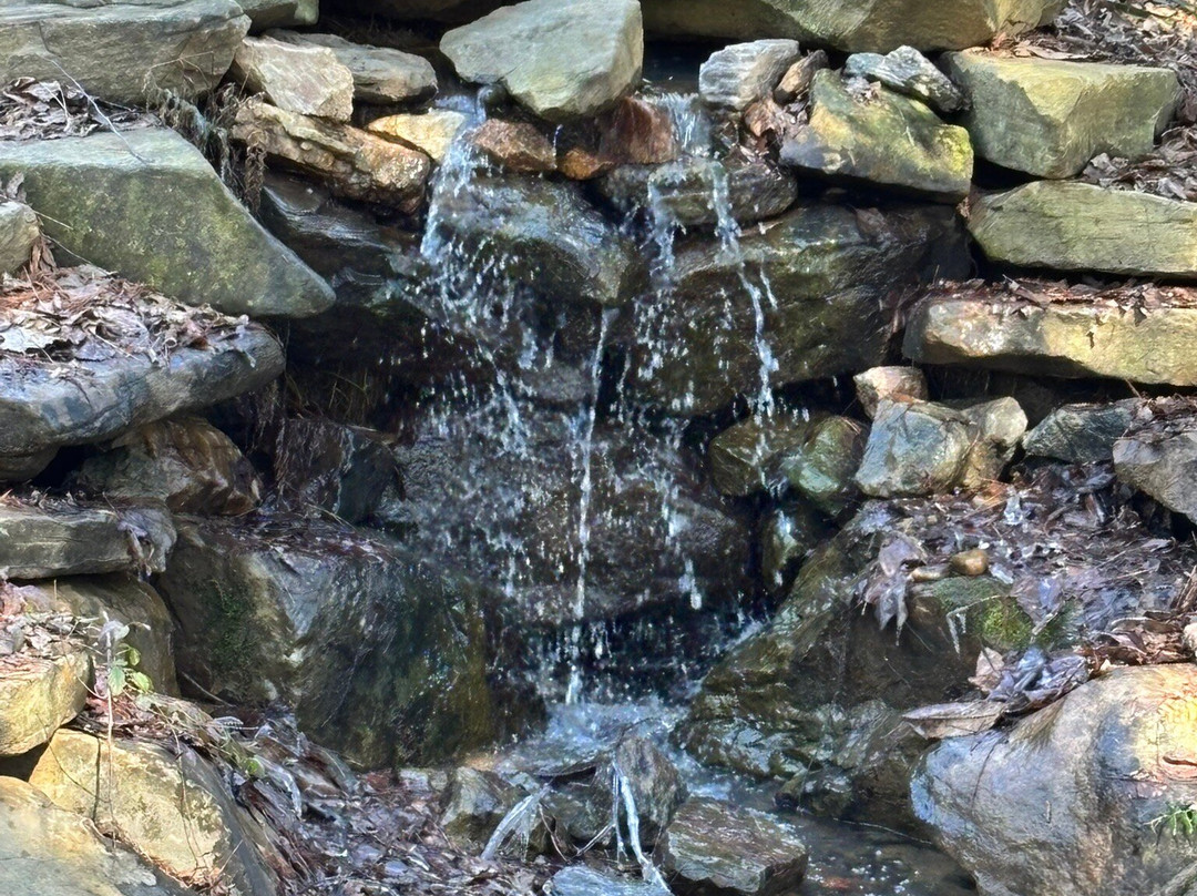 Massee Lane Gardens-Fort Valley必去景点