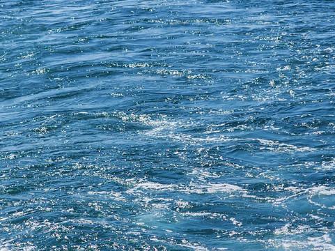 Whales Watching Sri Lanka-美蕊沙必去景点