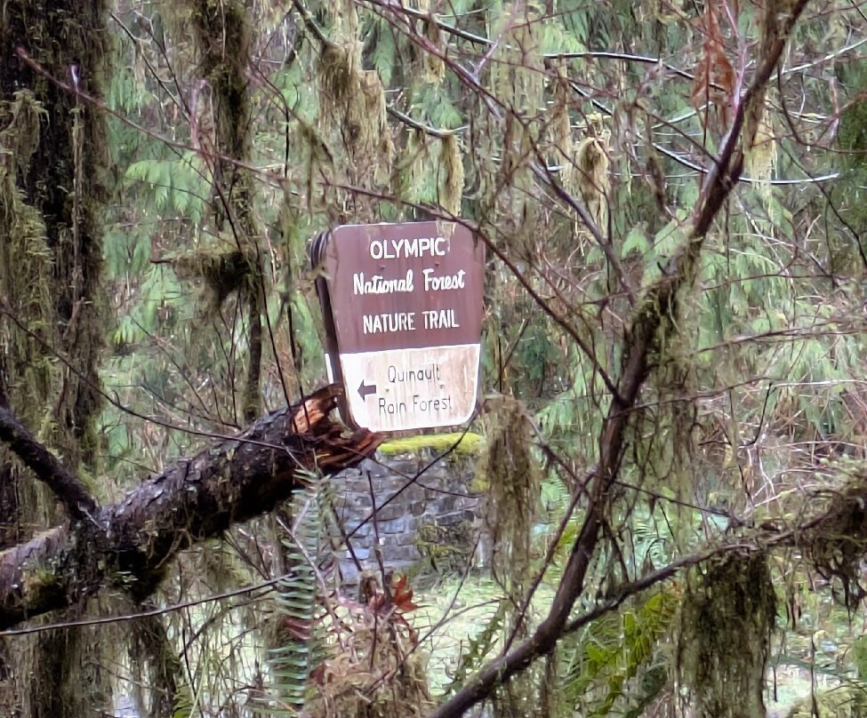 Rain Forest Nature Trail景点图片