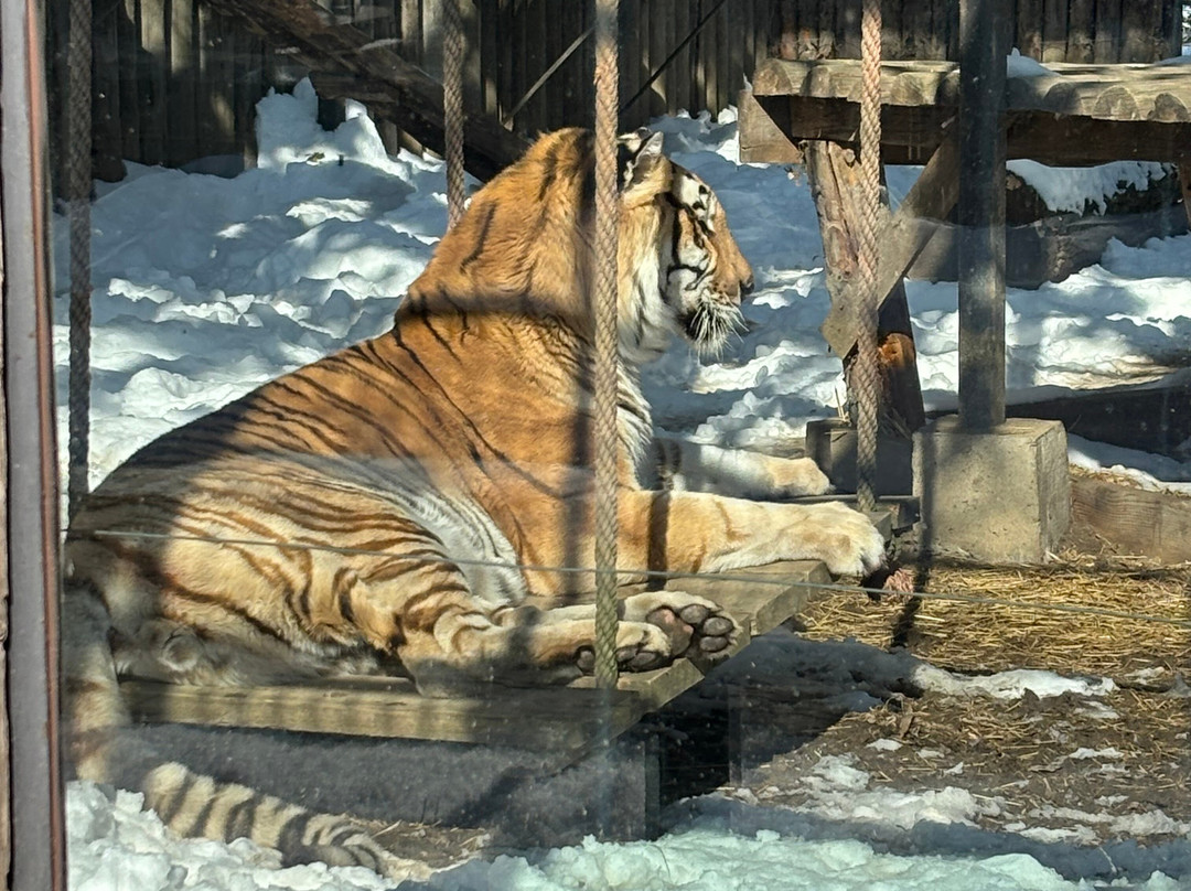 Bucharest Zoo景点图片