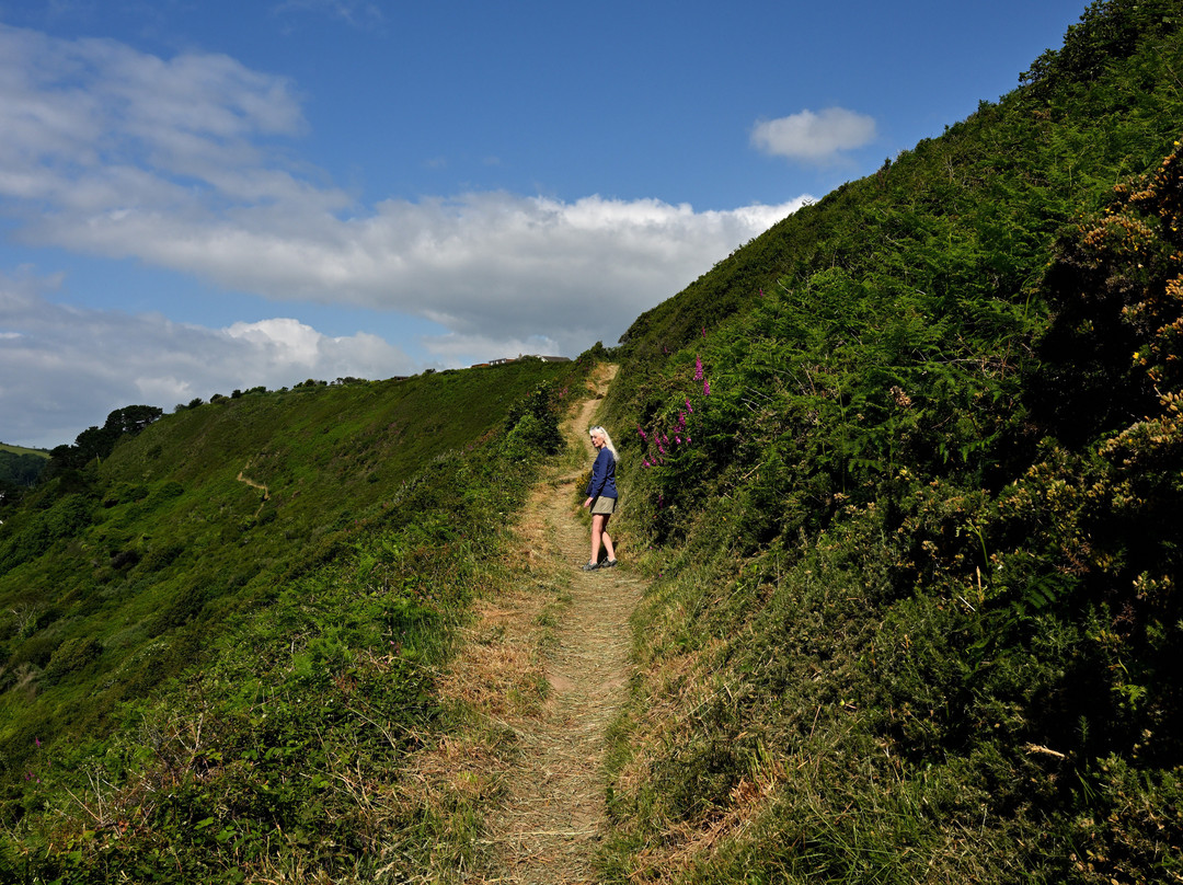 South West Coast Path-Polperro必去景点