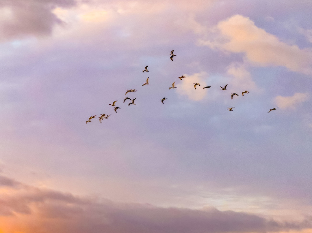 Hyatt Place Gainesville Downtown主图