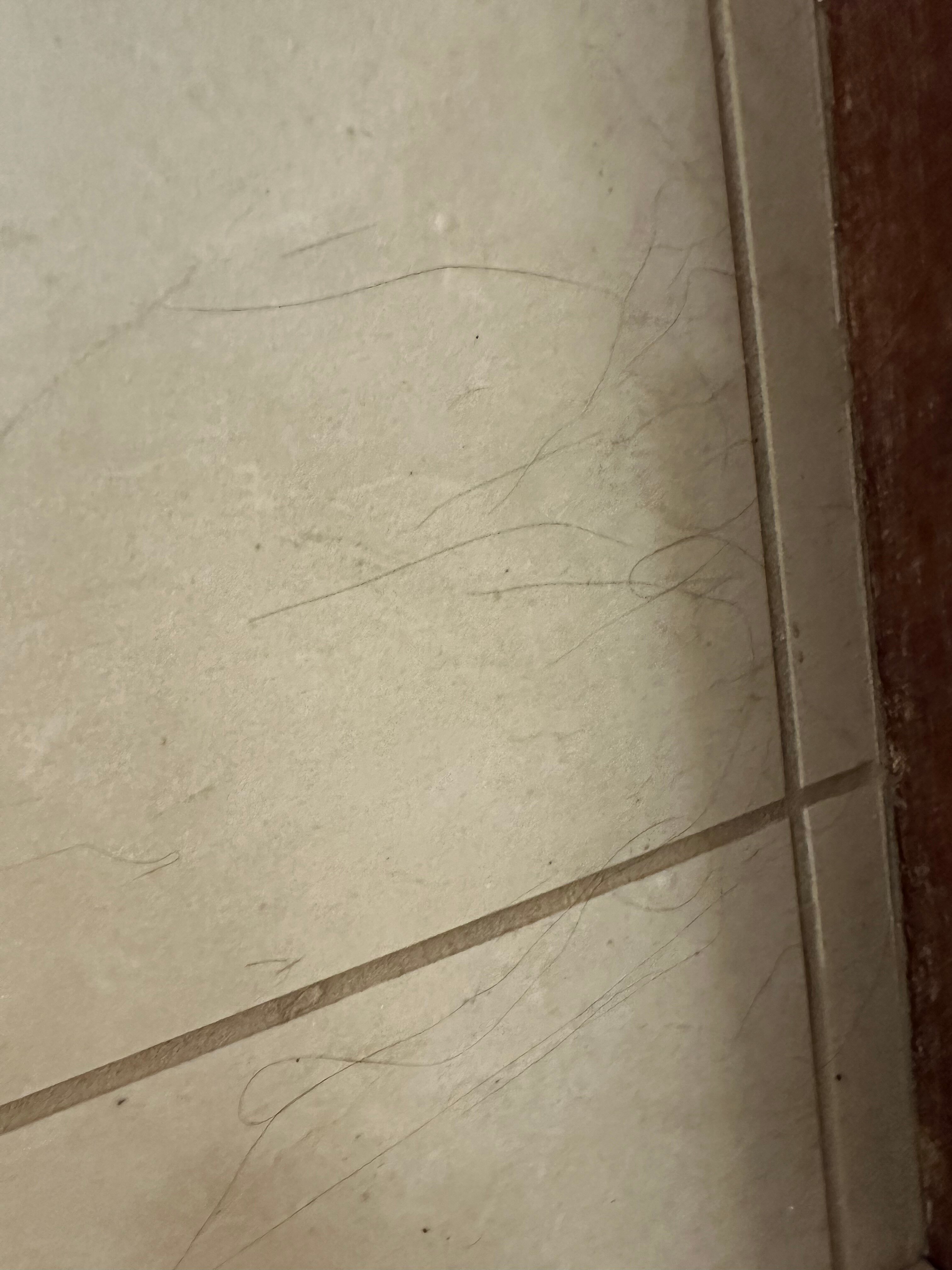 Residence Inn North Conway-浴室