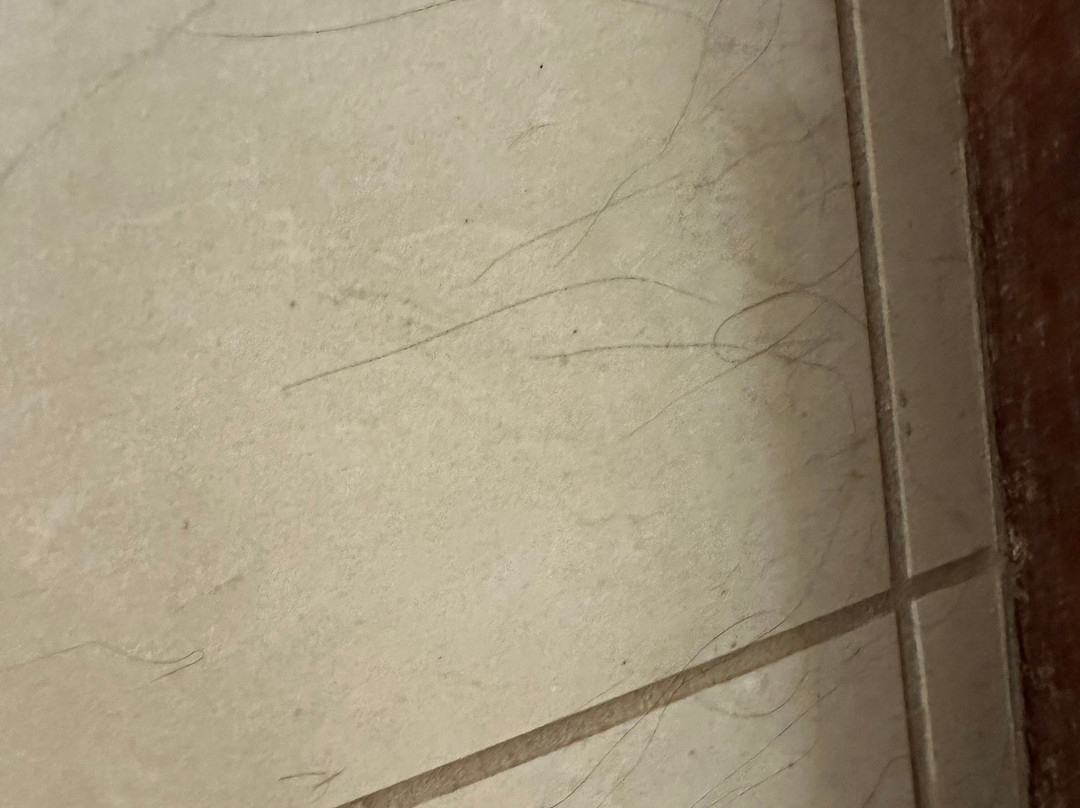 Residence Inn North Conway主图