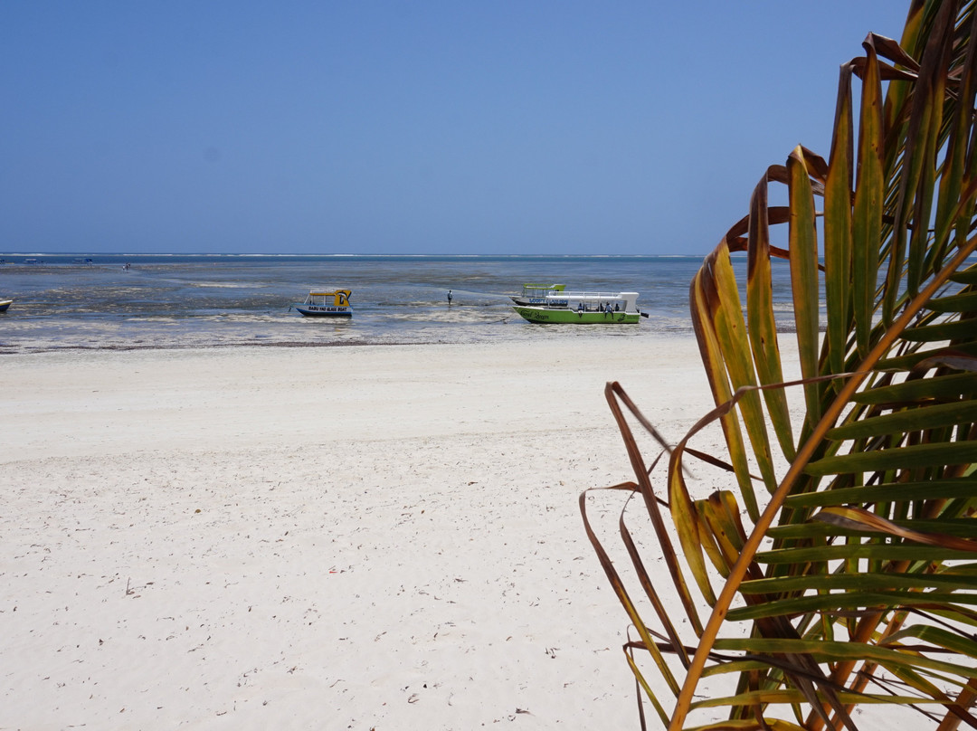 旅客海滩酒店主图