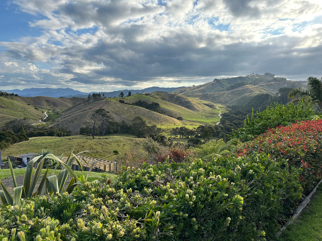 Ohuka Place Homestay主图