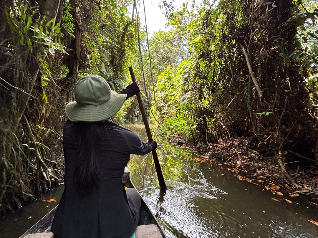 Xeo Quyt Relic Area-Cao Lanh必去景点