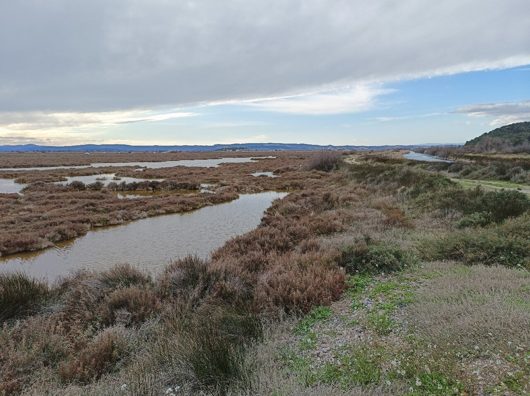 Parc Naturel Régional De La Narbonnaise-纳博讷必去景点