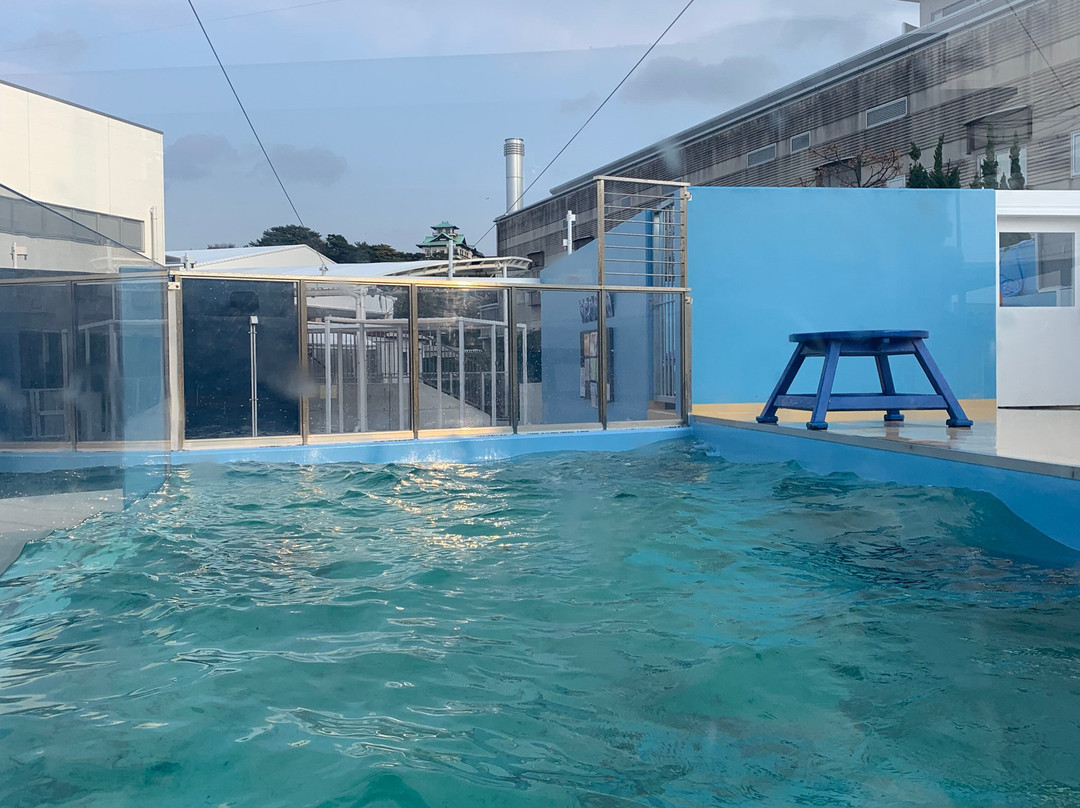 Takeshima Aquerium-蒲郡港必去景点