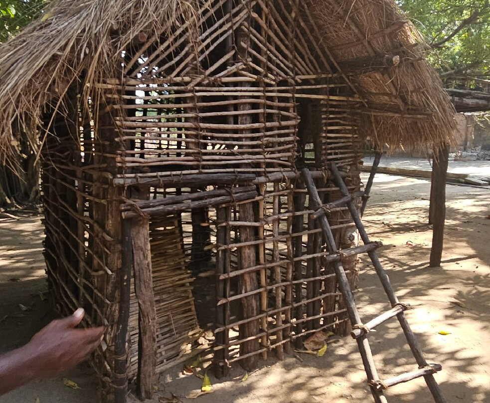 Village Museum-Dar es Salaam必去景点