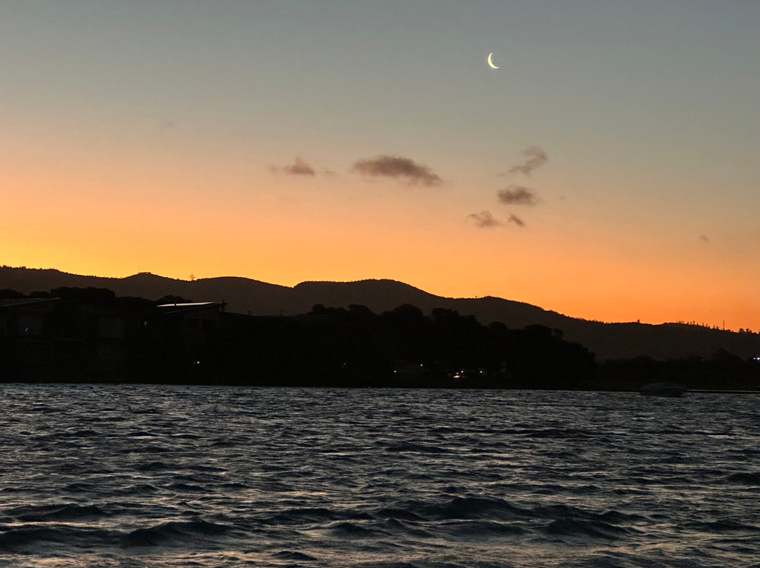 Knysna Houseboats-克尼斯纳必去景点