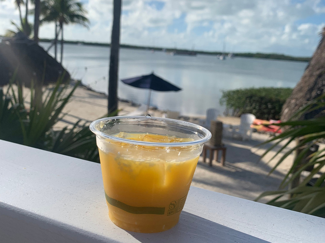 椰树棕榈树旅馆主图