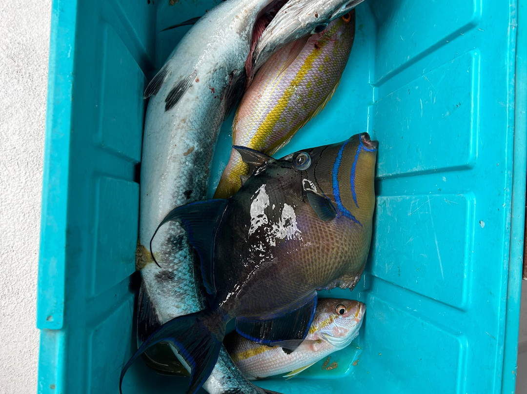 Big Fish Adventures-图伦必去景点