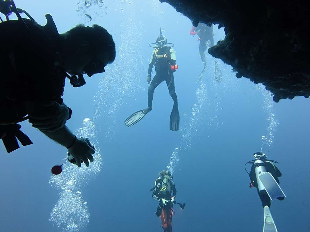 Awequatic Divers景点图片