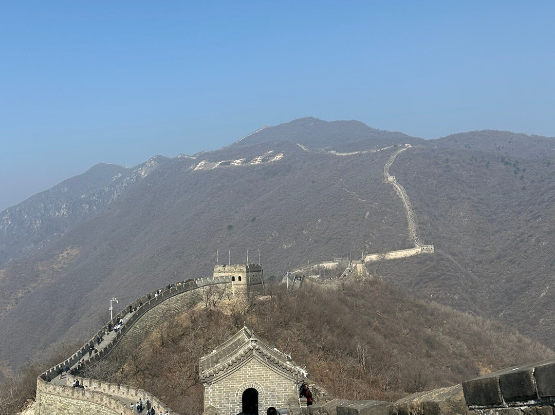 Catherine Lu Tours-成都必去景点