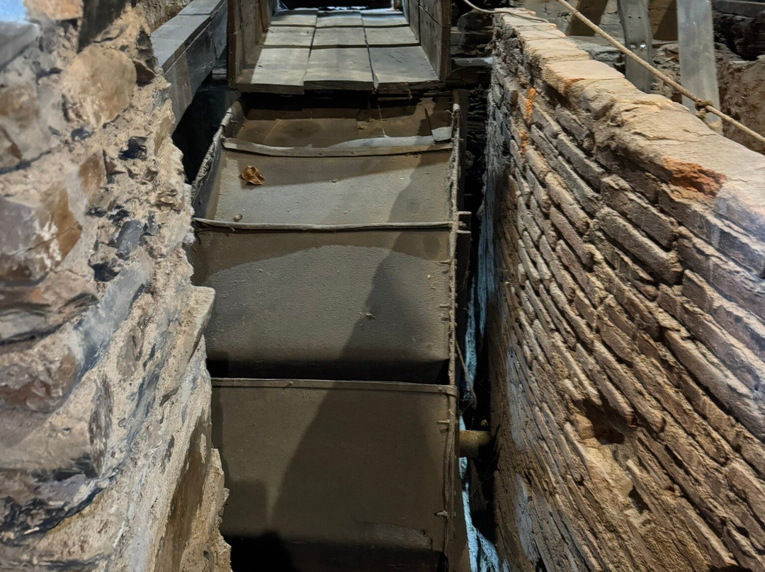 Museo del Aceite Molino del Medio景点图片