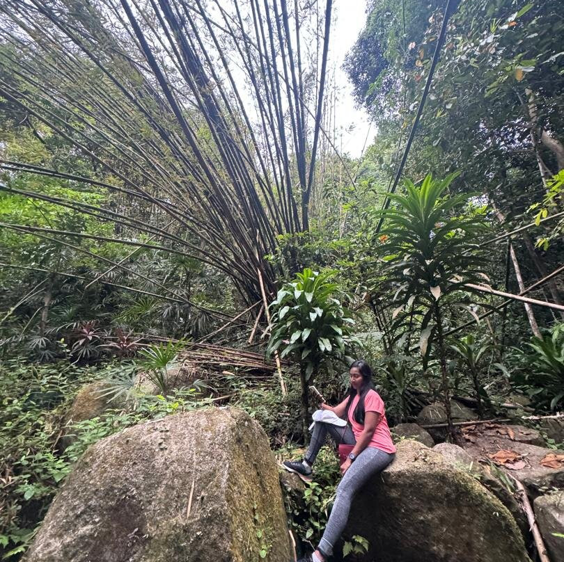 大山脚休养林景点图片