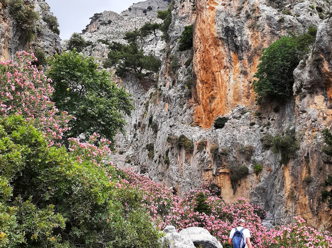 Rouvas Gorge (Agiou Nikolaou)-Zaros必去景点