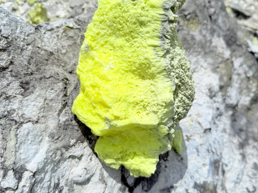 Sierra Negra-伊莎贝拉岛必去景点