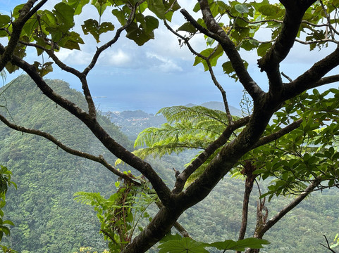 Hidden Treasures Hikes-St. George's必去景点
