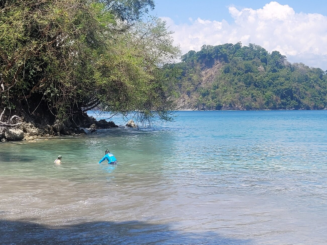 Playa Biesanz景点图片
