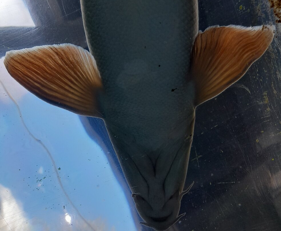 Lakes Aquarium景点图片