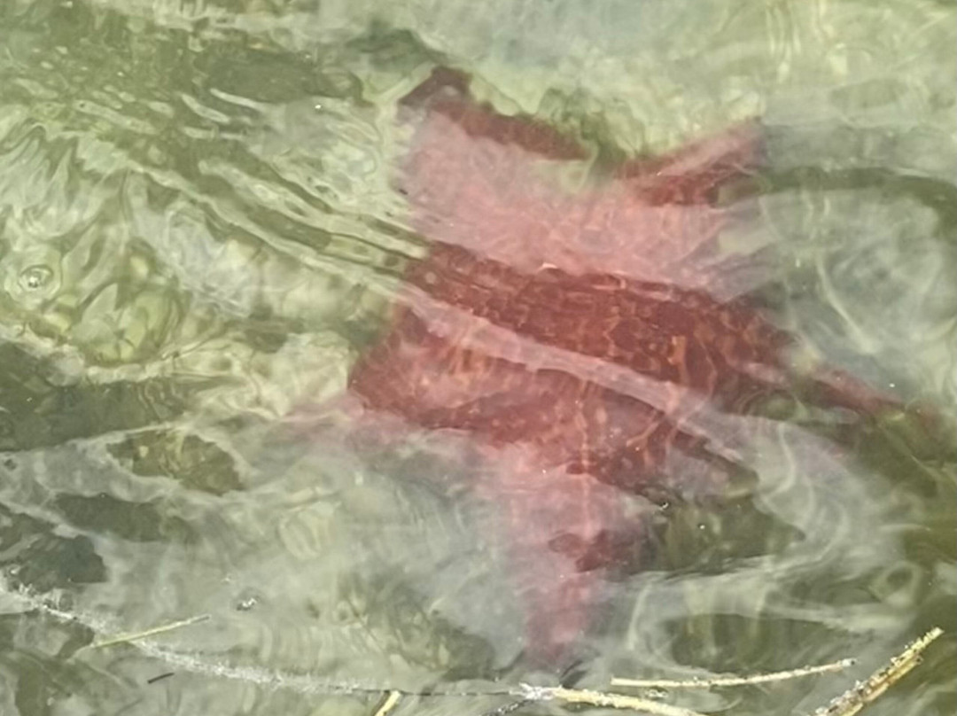 Etéreo, Auberge Collection主图