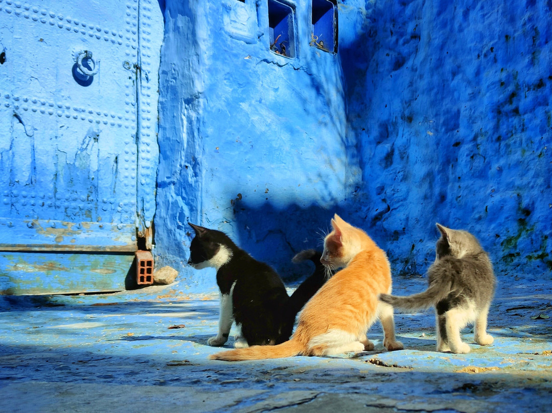 Morocco Berber Trips景点图片
