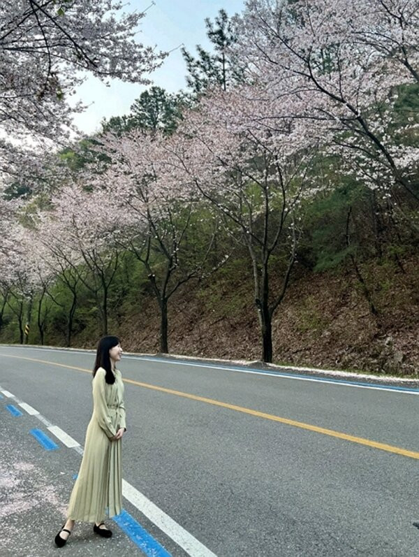 Yeungnam University Love Road-庆山市必去景点