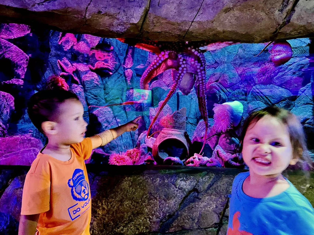 SEA LIFE Aquarium-卡尔斯巴德必去景点