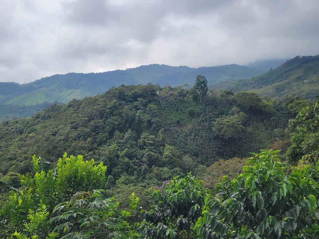 Spanish Adventure-San Carlos必去景点