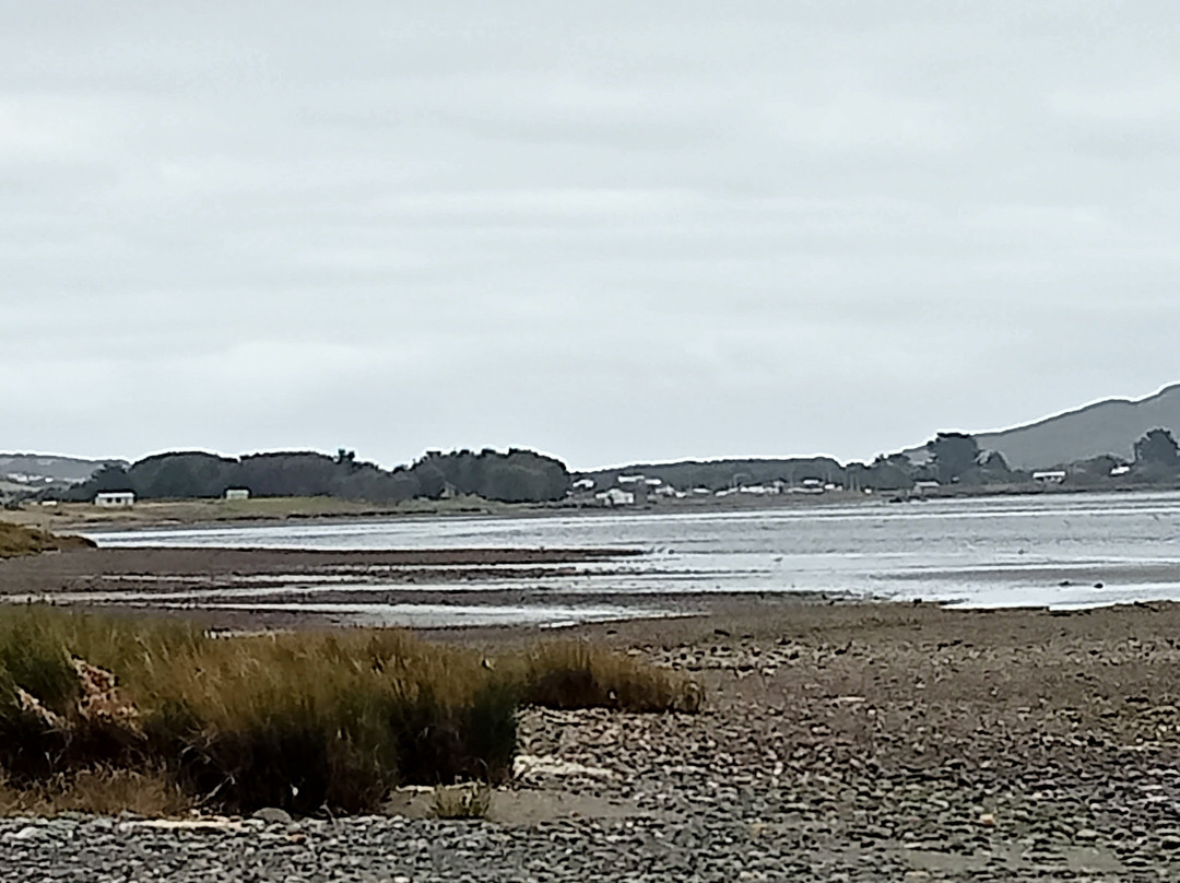 Playa Quetalmahue景点图片