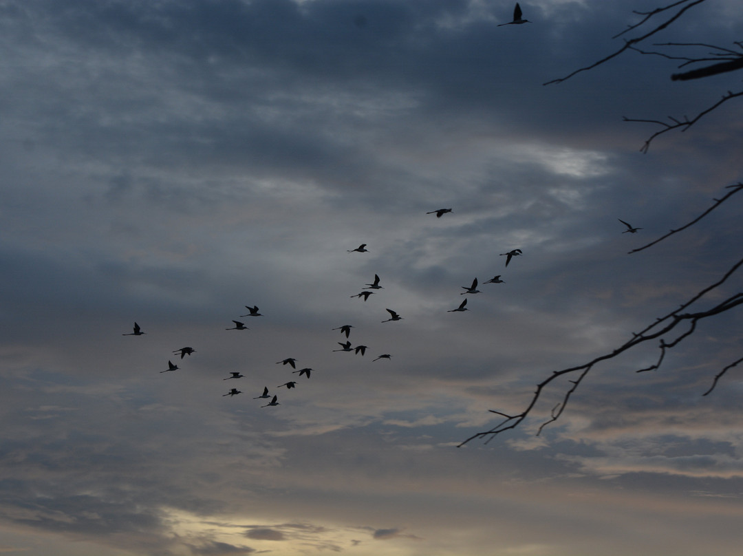 Awatawaa Ecolodge主图