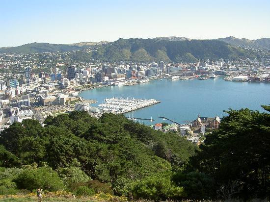 Homestay at Evans Bay主图