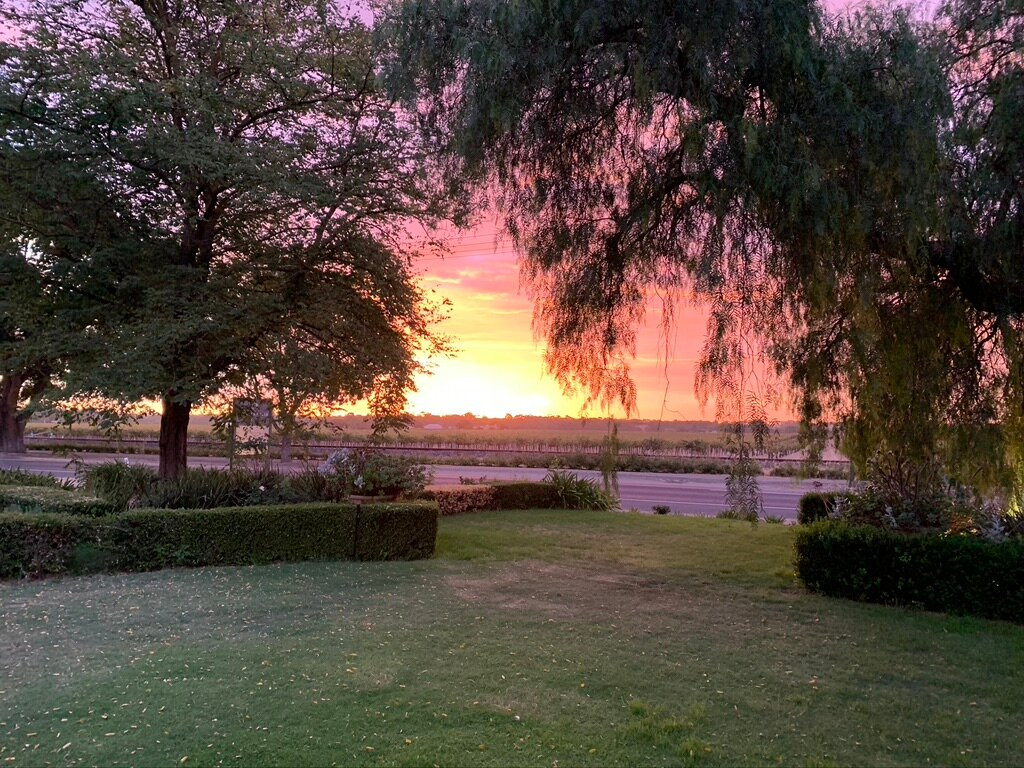 巴罗莎家庭式酒店主图